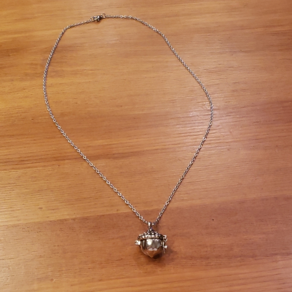 Amazing Silver Acorn Locket Necklace